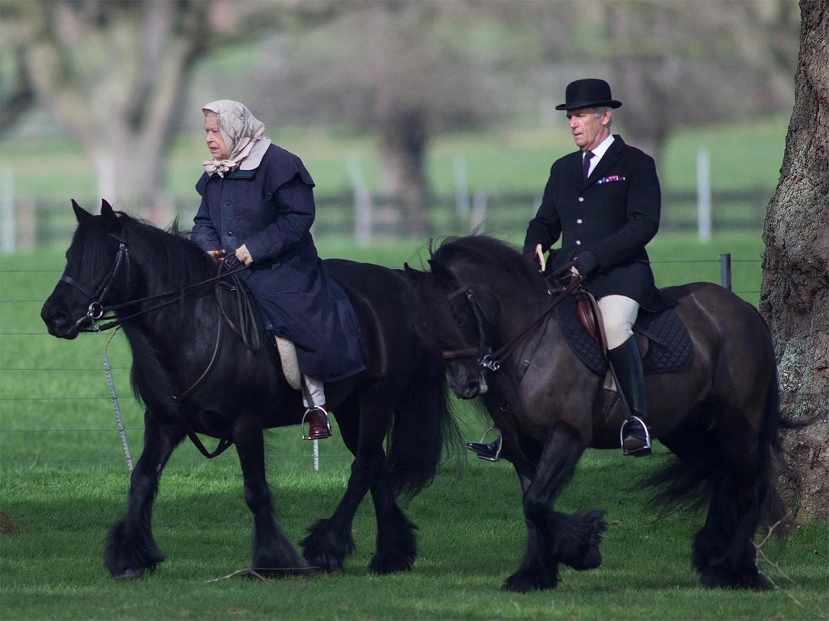 Terry Pendry - Queen Head Groom